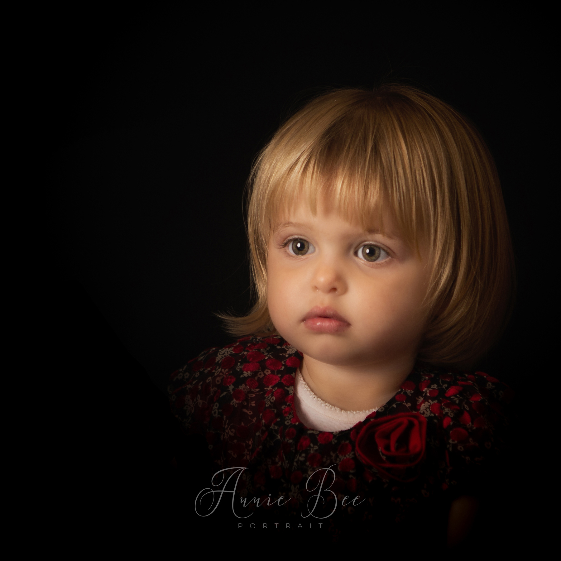 photographing-your-family-in-the-studio-www-anniebeeportrait